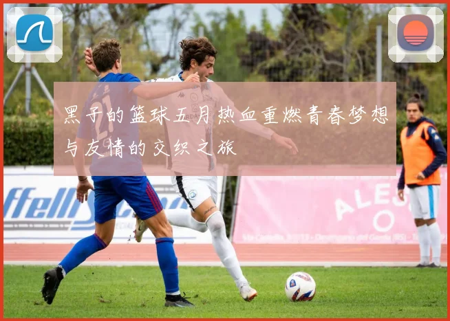 黑子的篮球五月热血重燃青春梦想与友情的交织之旅