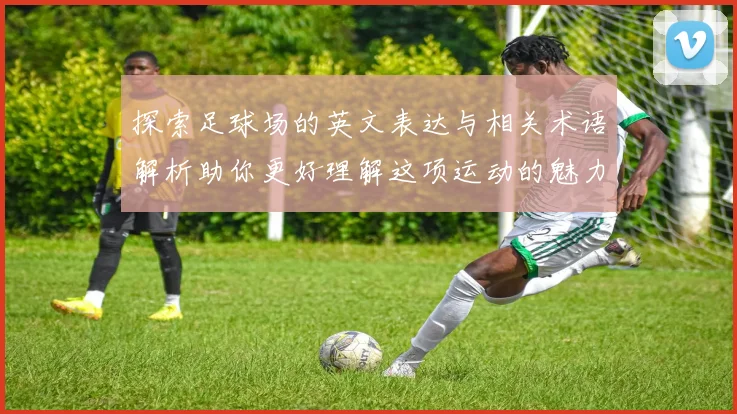探索足球场的英文表达与相关术语解析助你更好理解这项运动的魅力