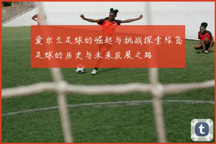爱尔兰足球的崛起与挑战探索绿岛足球的历史与未来发展之路