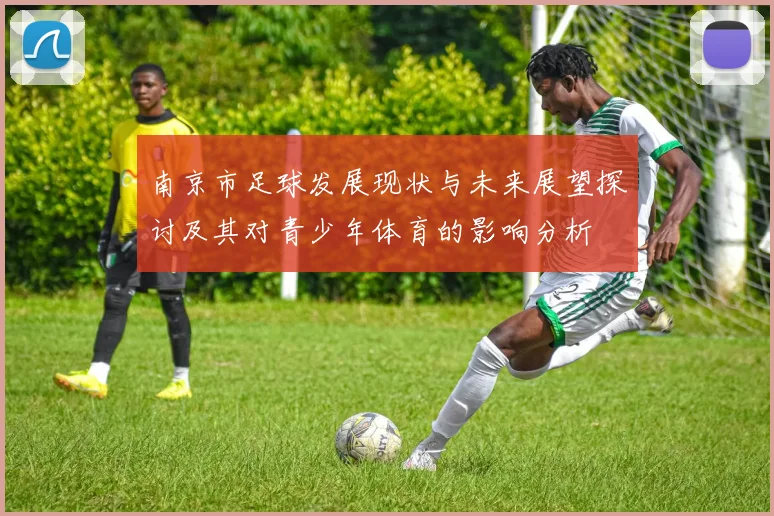 南京市足球发展现状与未来展望探讨及其对青少年体育的影响分析
