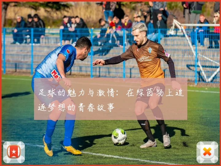 足球的魅力与激情：在绿茵场上追逐梦想的青春故事