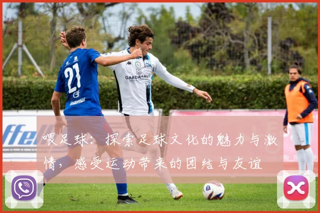 喂足球：探索足球文化的魅力与激情，感受运动带来的团结与友谊