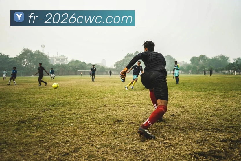 世界杯投注平台生态图